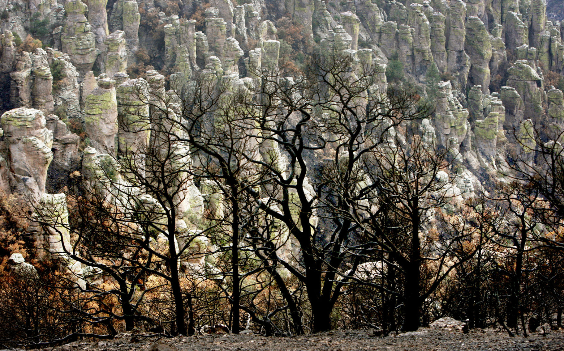 The Horseshoe 2 Fire of 2011